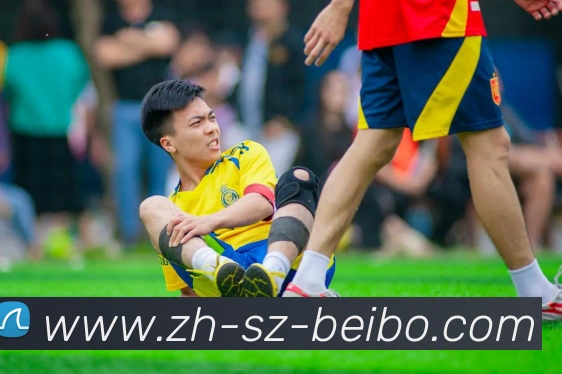 App Interface Preview