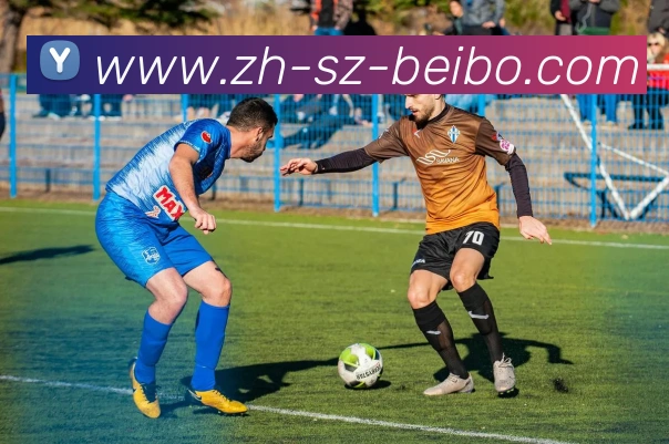 BB体育下载APP 封面图